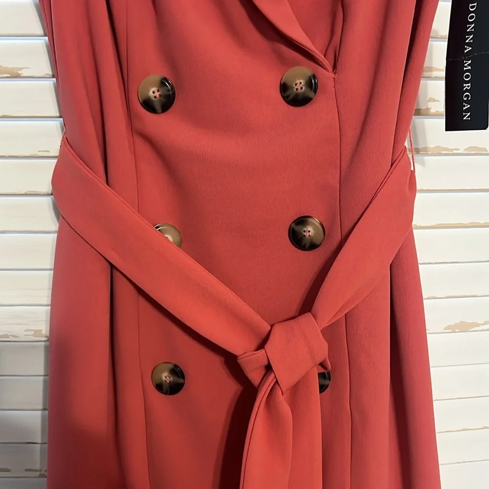 Elegant Terracotta Sleeveless Dress Size 2 - Picture 3 of 11